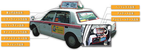 �^�N�V�[�L���͂���ȂɖL�x